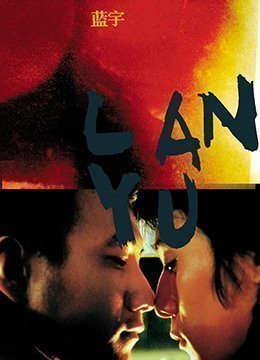 蓝宇.2001.DVD.97分钟