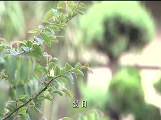 JUC-444 高挑母女女同 星安娜 内田真由