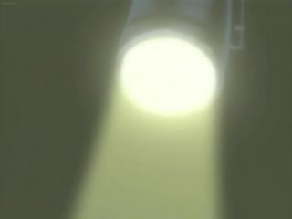 花与蛇 3