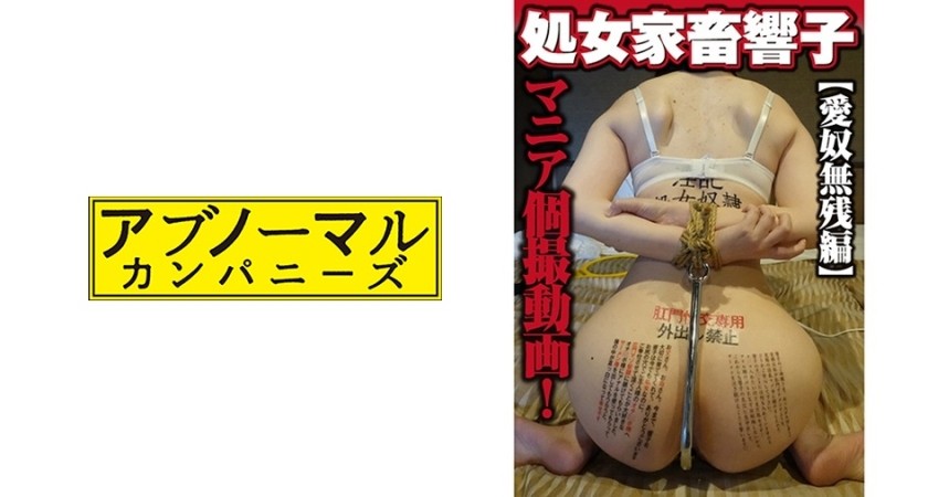 481ACZ-077+Virgin ●●Kyoko [爱奴残酷版]+(东条葵)