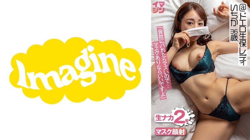374IMGN-041+一花