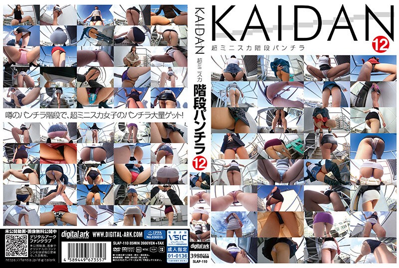 SLAP-110+KAIDAN12