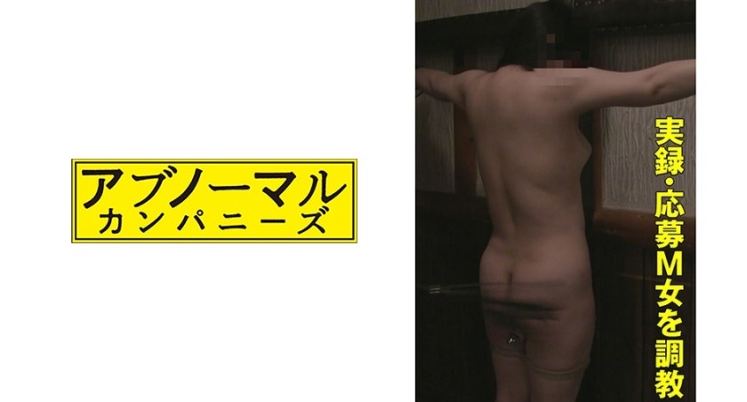 481SACZ-176+美雪2