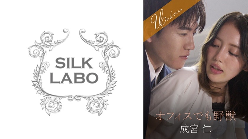 SILKU-099 +办公室里的野兽+成宫仁+美咲环奈