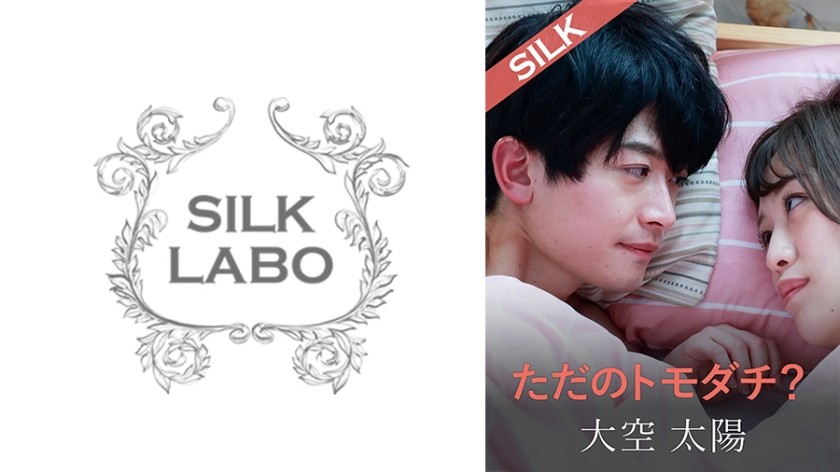 SILKS-104+只是朋友？
