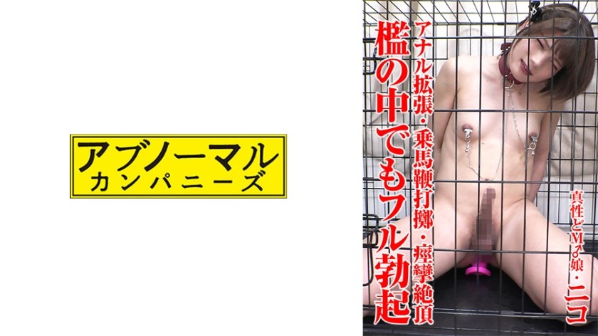 481SACZ-431 尼科 1