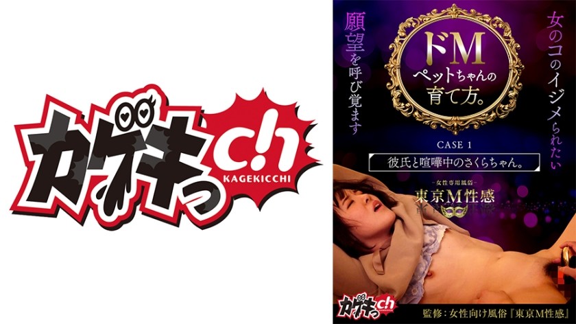 486GRMO-159 如何饲养一只受虐狂的宠物。案例 1 小樱正在和她的男朋友打架。